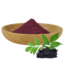 Enhance immunity powder black elderberry extract